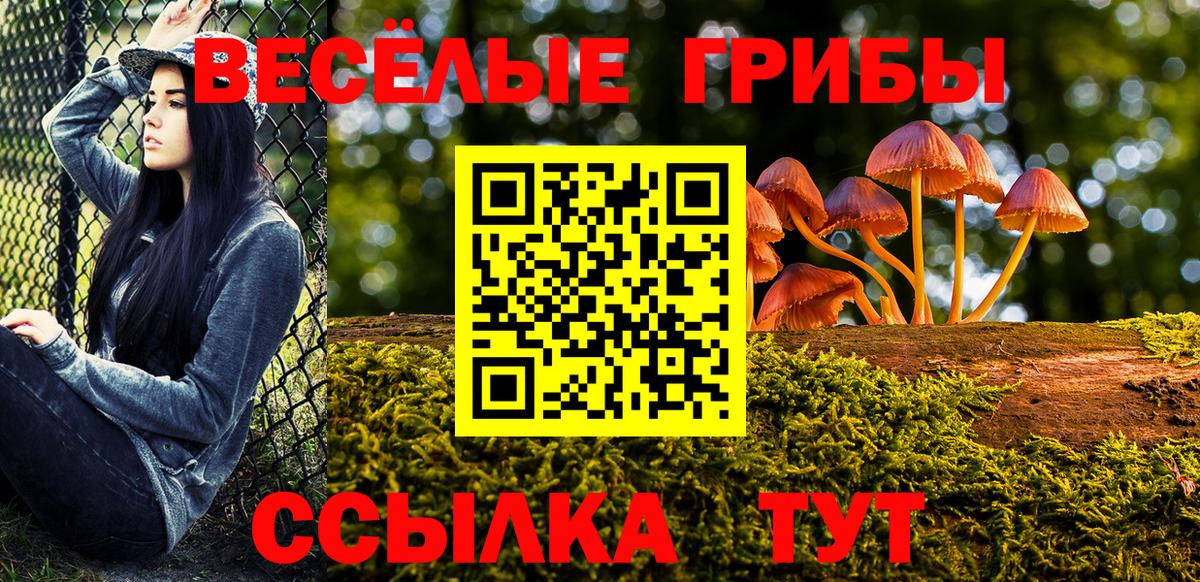 Галлюциногенные грибы мицелий Юрга
